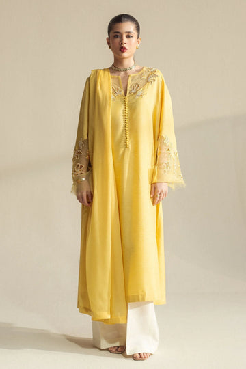 Zara Shahjahan | Fall Festive 24 | ZC-2073 - Rang-e-Khaas