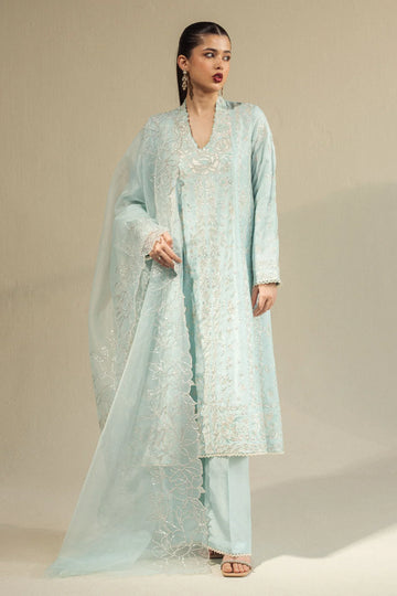 Zara Shahjahan | Fall Festive 24 | ZC-2077 - Rang-e-Khaas