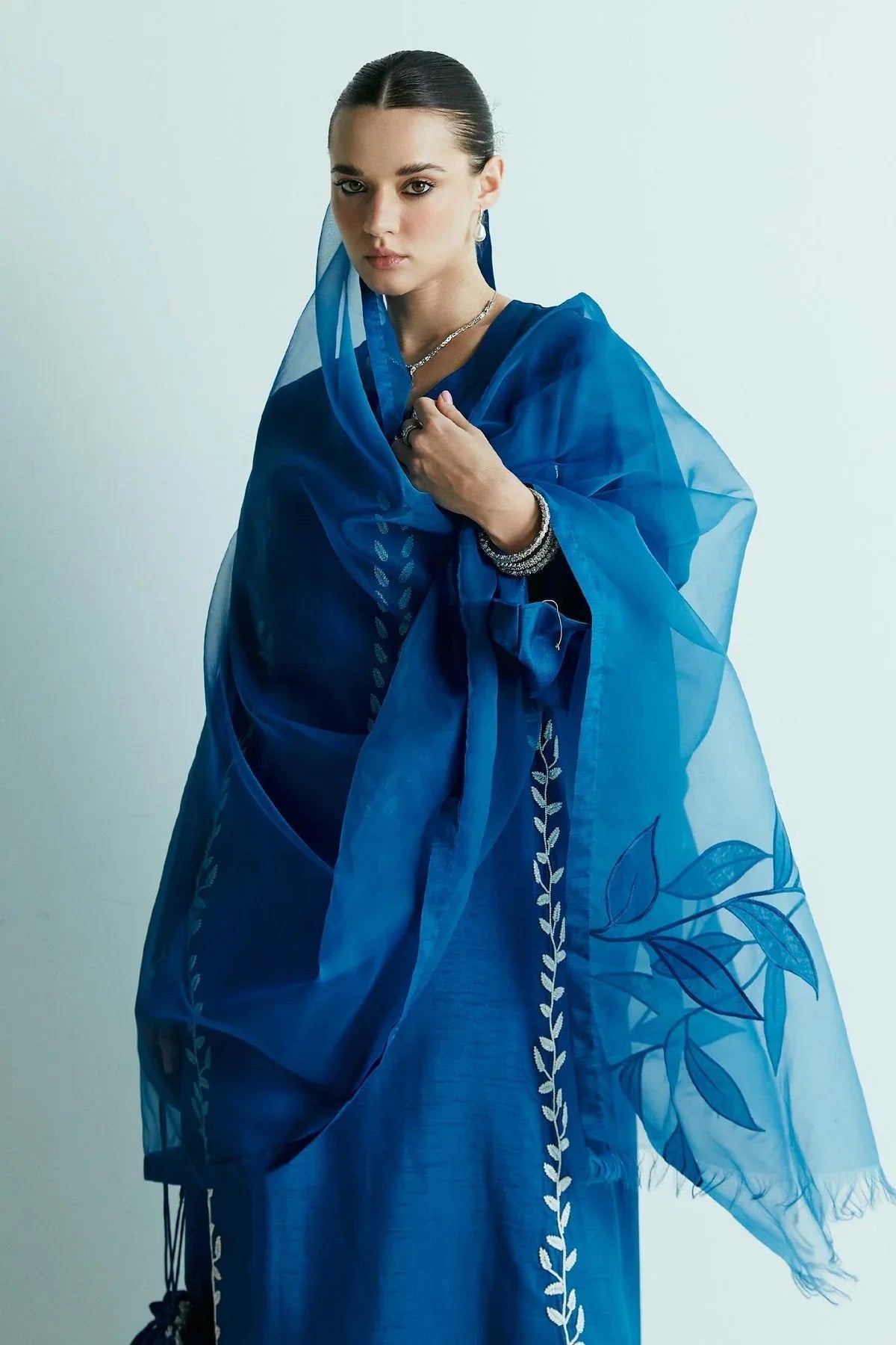 Zara Shahjahan | Festive Eid 24 | ZC-2028 - Rang-e-Khaas
