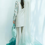 Zara Shahjahan | Festive Eid 24 | ZC-2034 - Rang-e-Khaas