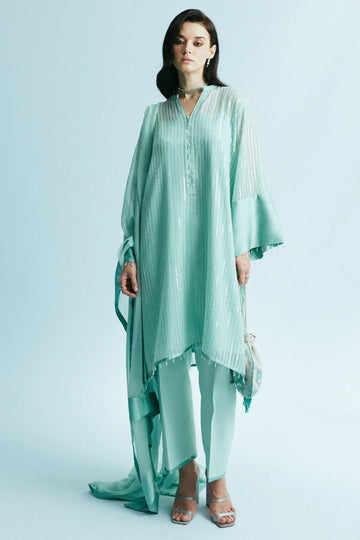 Zara Shahjahan | Festive Eid 24 | ZC-2043 - Rang-e-Khaas