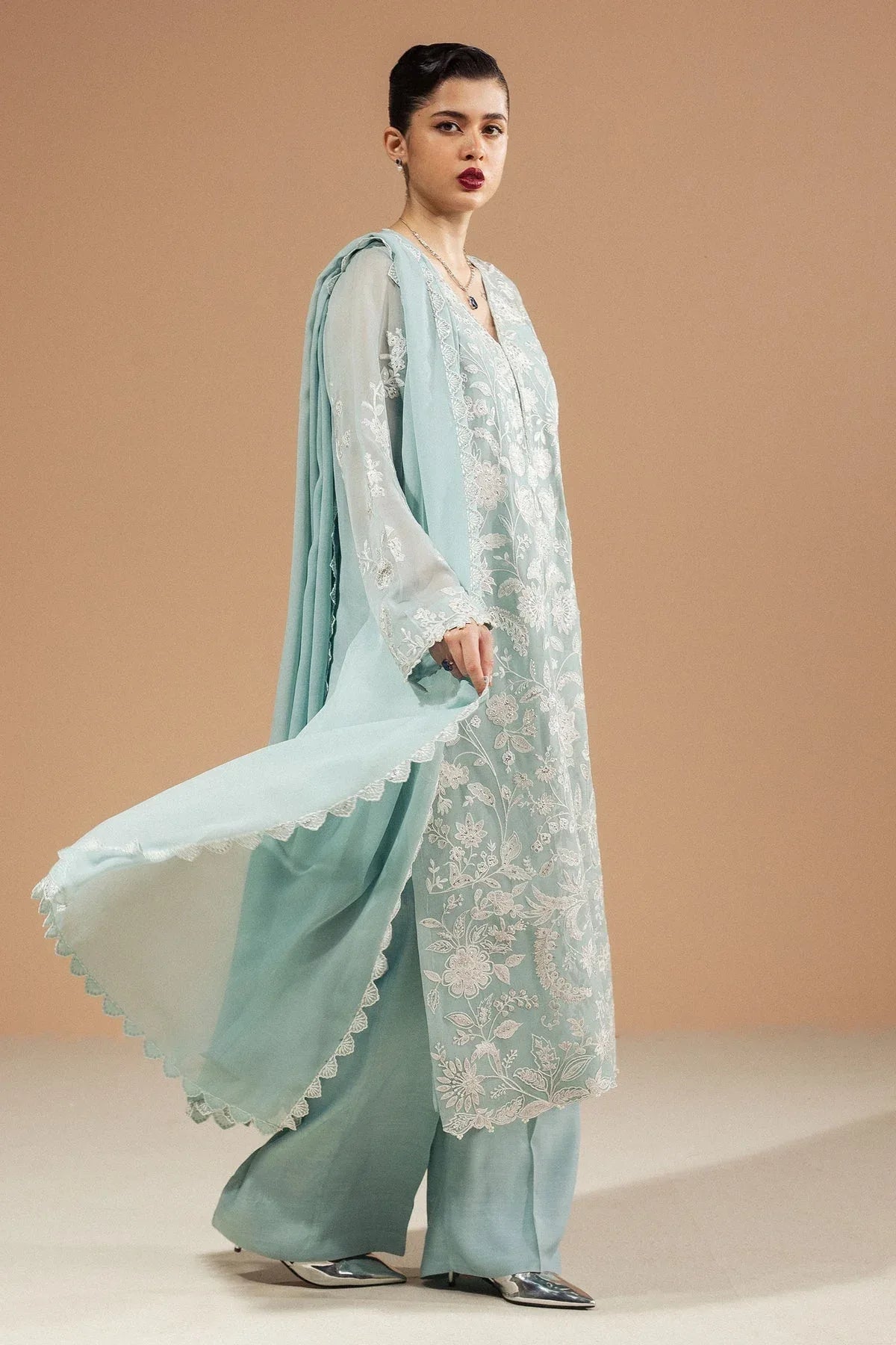 Zara Shahjahan | Festive Wear 25 | ZR25F0230 - Rang-e-Khaas