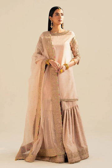 Zara Shahjahan | Wedding Formals 2024 | ZC-3086 - Rang-e-Khaas