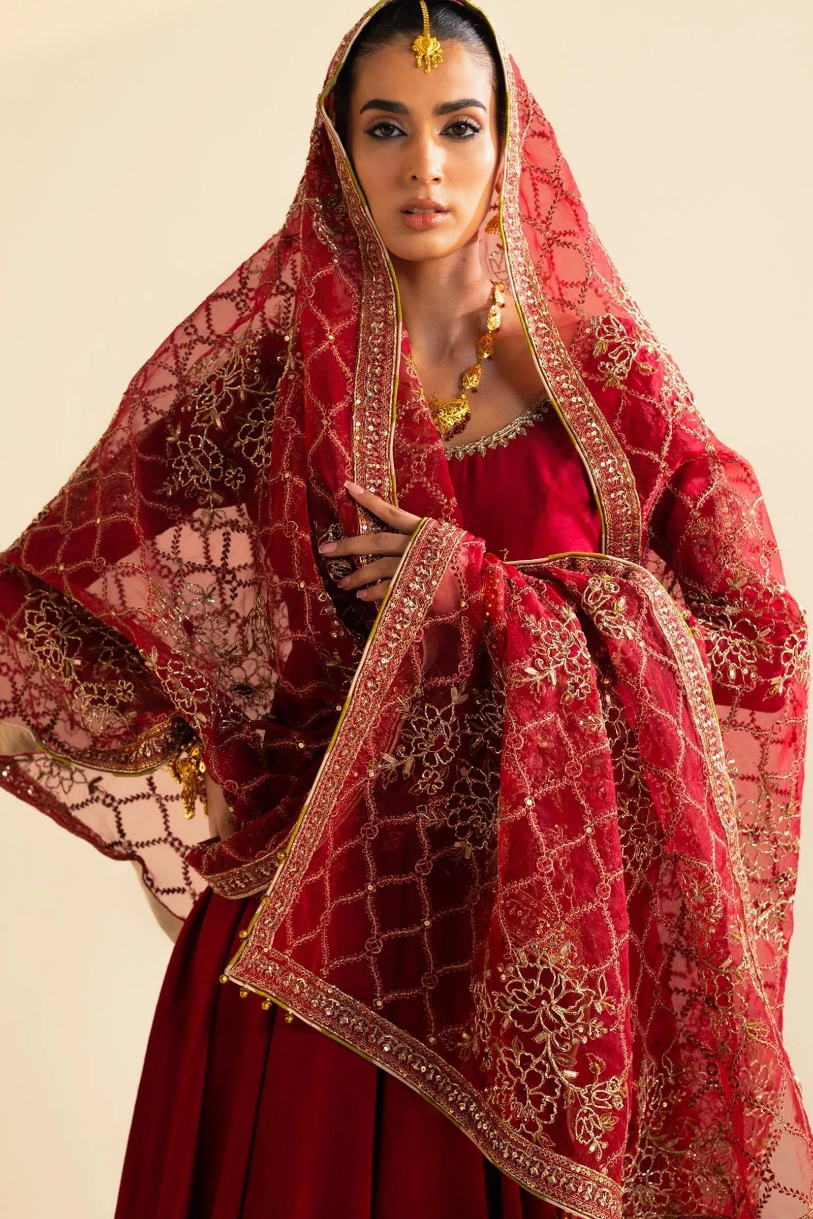 Zara Shahjahan | Wedding Formals 2024 | ZC-3097 - Rang-e-Khaas