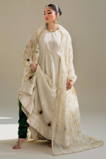 Zara Shahjahan | Wedding Formals 2024 | ZC-3099 - Rang-e-Khaas