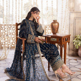 Aik Atelier | Luxury Velvet 25 | BAAGH - LOOK 01