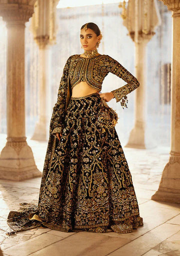 Aik Atelier | Dastoor Velvet 24 | DASTOOR - LOOK 01 - Rang-e-Khaas