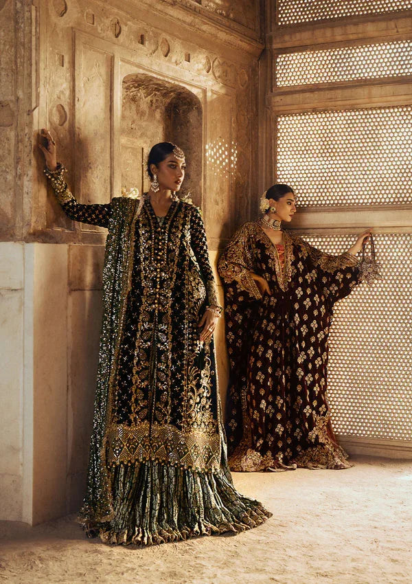 Aik Atelier | Dastoor Velvet 24 | DASTOOR - LOOK 02 - Rang-e-Khaas