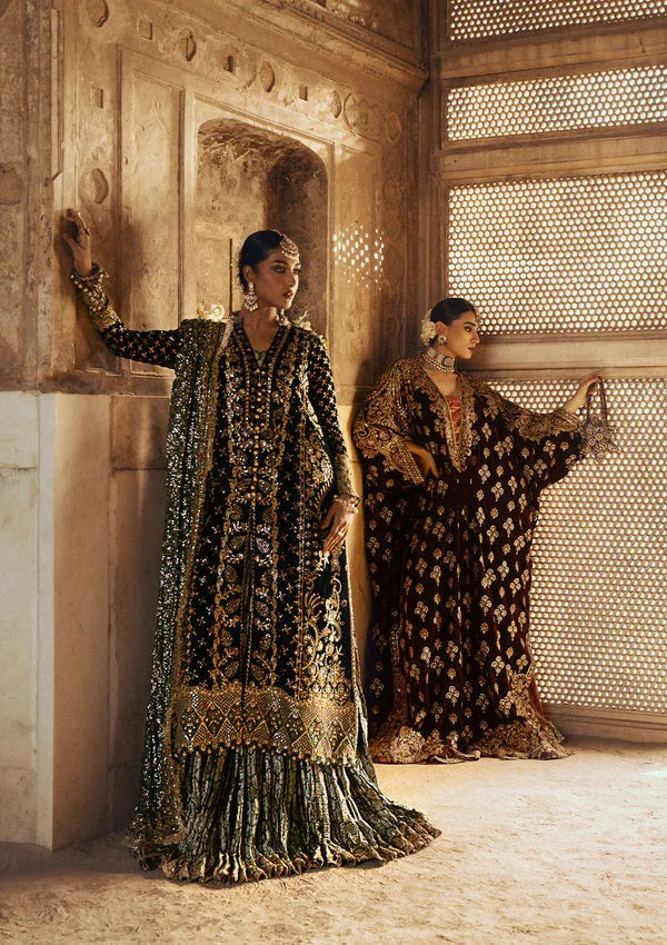 Aik Atelier | Dastoor Velvet 24 | DASTOOR - LOOK 02 - Rang-e-Khaas