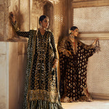 Aik Atelier | Dastoor Velvet 24 | DASTOOR - LOOK 02
