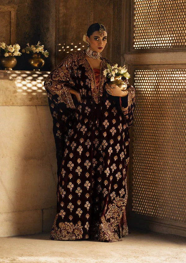 Aik Atelier | Dastoor Velvet 24 | DASTOOR - LOOK 03 - Rang-e-Khaas