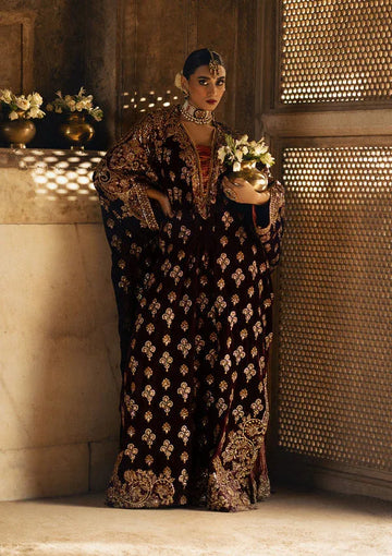 Aik Atelier | Dastoor Velvet 24 | DASTOOR - LOOK 03 - Rang-e-Khaas