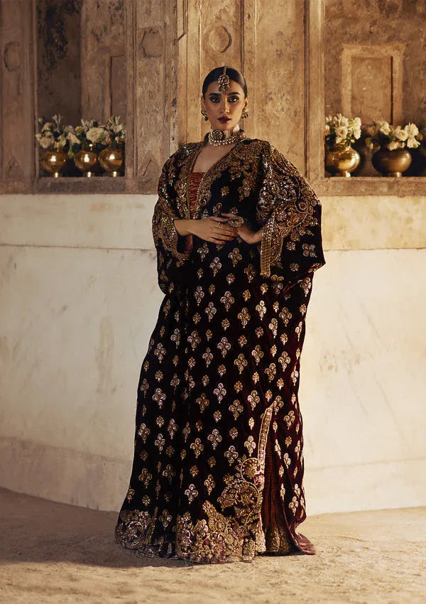 Aik Atelier | Dastoor Velvet 24 | DASTOOR - LOOK 03 - Rang-e-Khaas