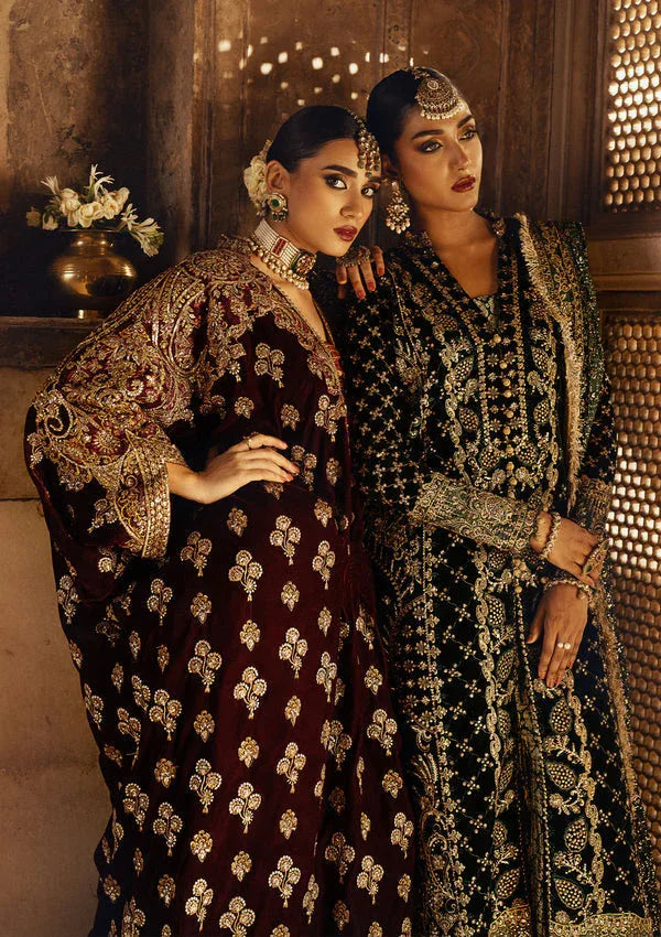Aik Atelier | Dastoor Velvet 24 | DASTOOR - LOOK 03 - Rang-e-Khaas