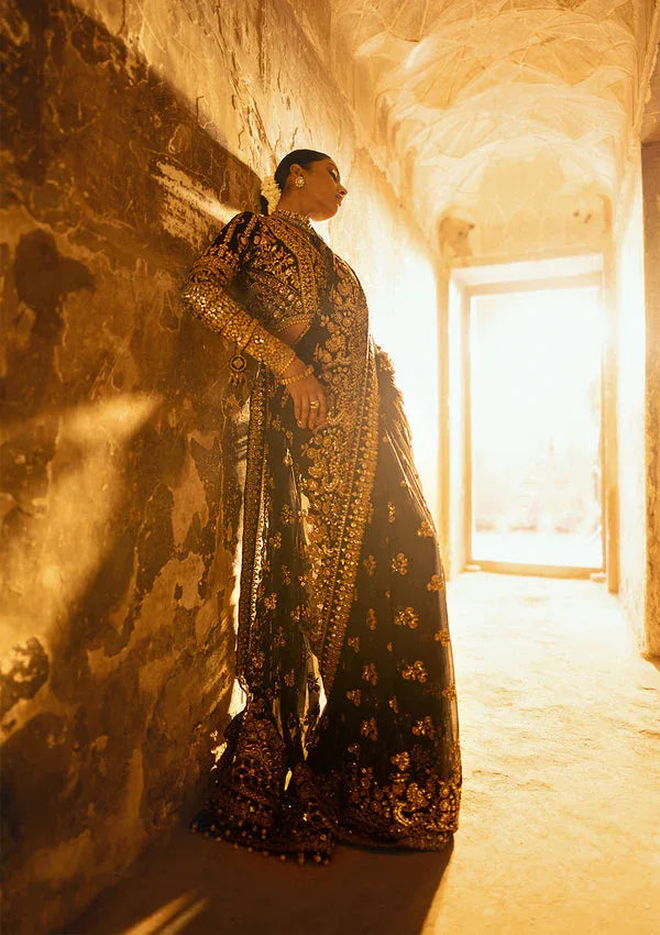 Aik Atelier | Dastoor Velvet 24 | DASTOOR - LOOK 04 - Rang-e-Khaas