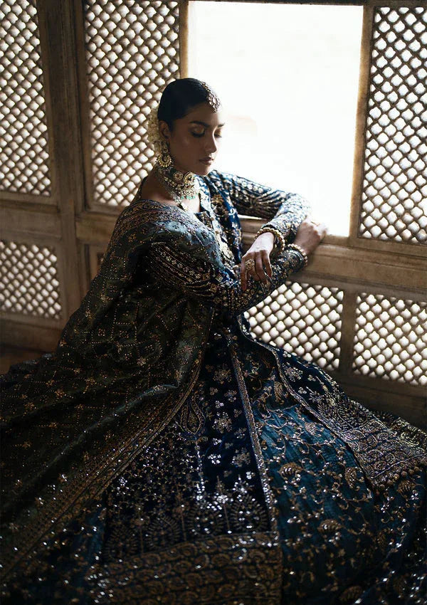 Aik Atelier | Dastoor Velvet 24 | DASTOOR - LOOK 05 - Rang-e-Khaas