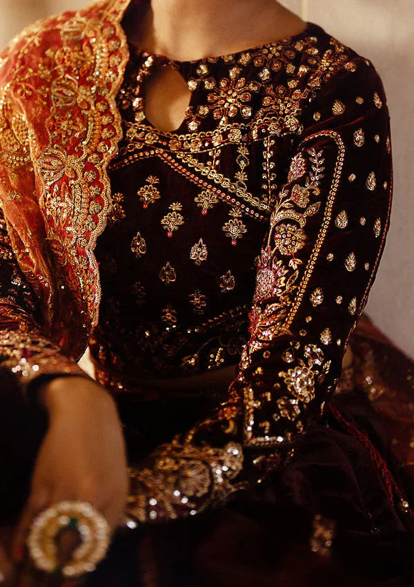 Aik Atelier | Dastoor Velvet 24 | DASTOOR - LOOK 06 - Rang-e-Khaas