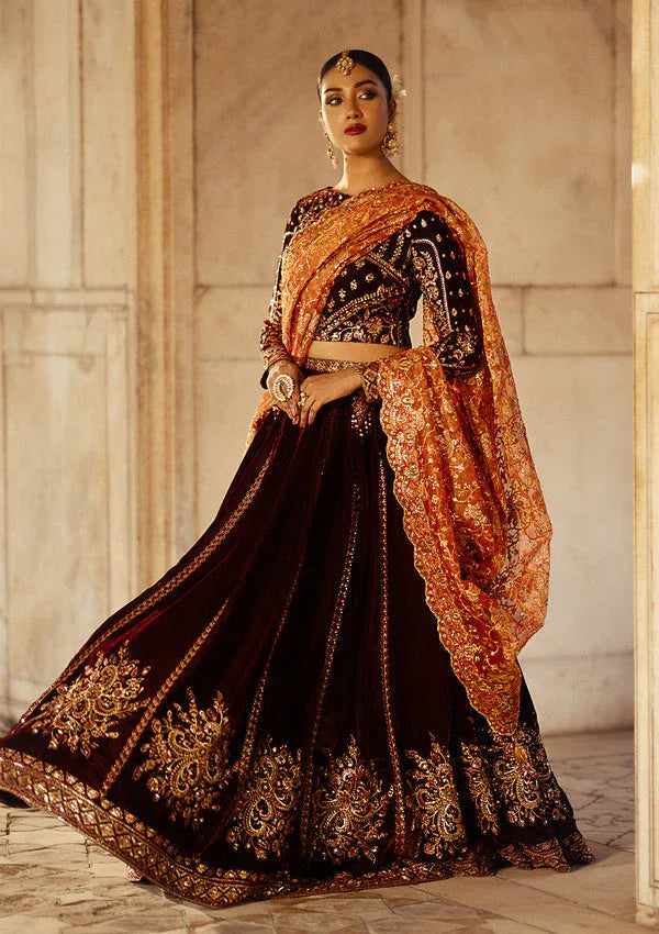 Aik Atelier | Dastoor Velvet 24 | DASTOOR - LOOK 06 - Rang-e-Khaas