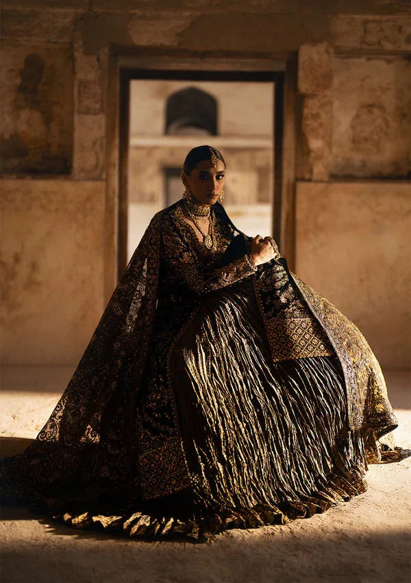 Aik Atelier | Dastoor Velvet 24 | DASTOOR - LOOK 08 - Rang-e-Khaas