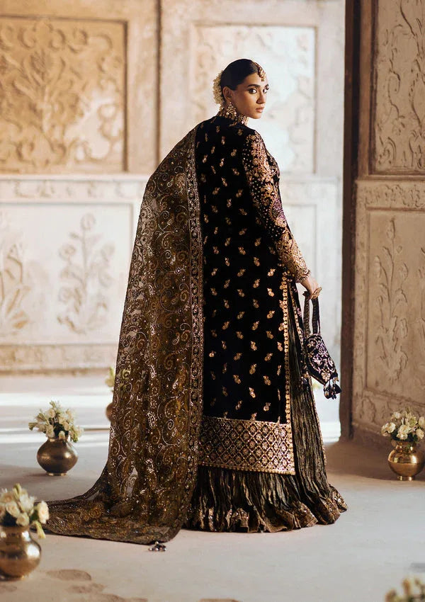 Aik Atelier | Dastoor Velvet 24 | DASTOOR - LOOK 08 - Rang-e-Khaas