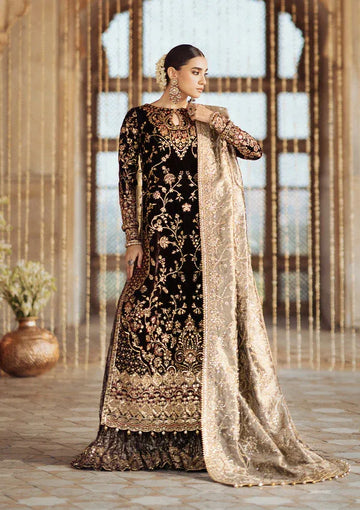 Aik Atelier | Dastoor Velvet 24 | DASTOOR - LOOK 09 - Rang-e-Khaas
