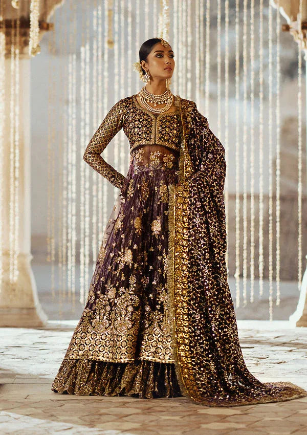 Aik Atelier | Dastoor Velvet 24 | DASTOOR - LOOK 10 - Rang-e-Khaas