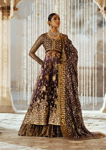 Aik Atelier | Dastoor Velvet 24 | DASTOOR - LOOK 10 - Rang-e-Khaas