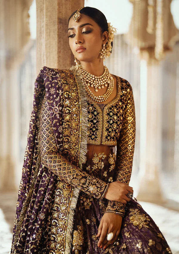 Aik Atelier | Dastoor Velvet 24 | DASTOOR - LOOK 10 - Rang-e-Khaas