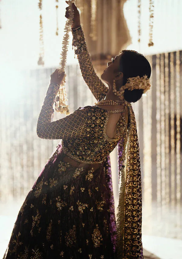Aik Atelier | Dastoor Velvet 24 | DASTOOR - LOOK 10 - Rang-e-Khaas