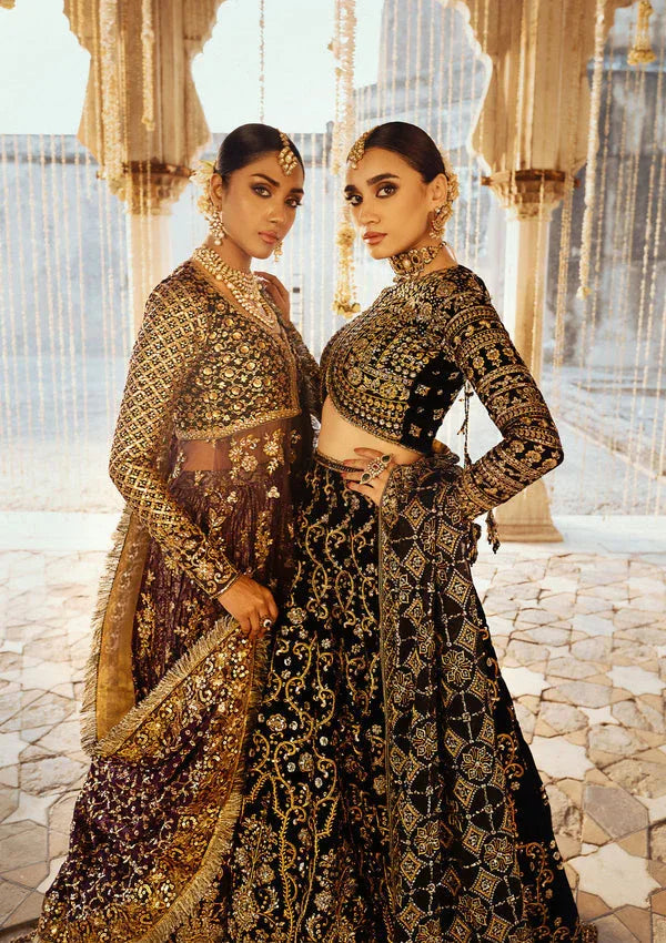 Aik Atelier | Dastoor Velvet 24 | DASTOOR - LOOK 10 - Rang-e-Khaas