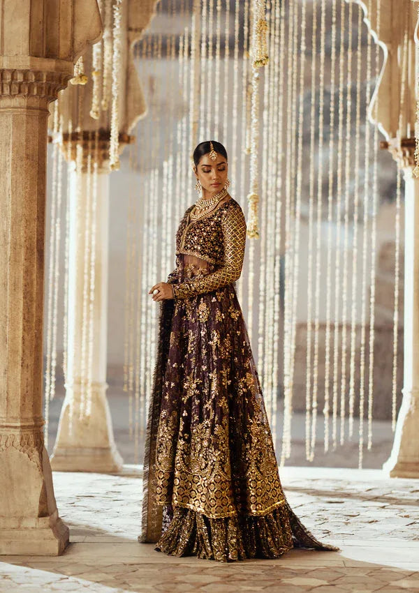Aik Atelier | Dastoor Velvet 24 | DASTOOR - LOOK 10 - Rang-e-Khaas