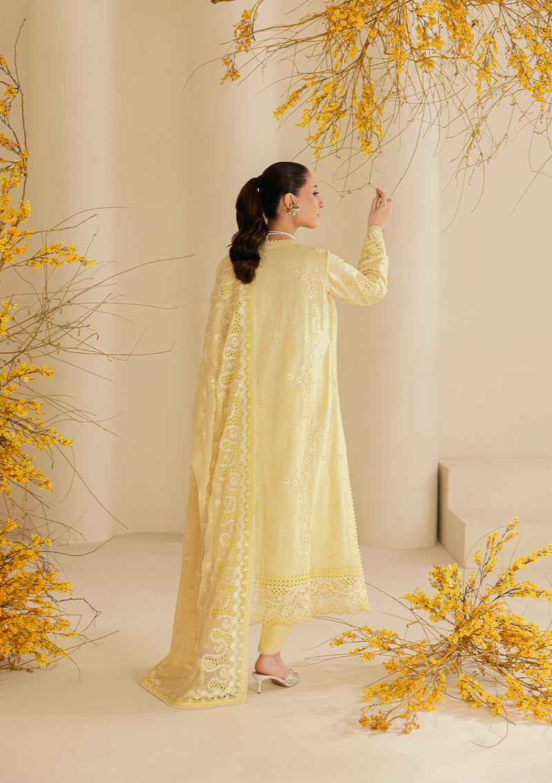 Aik Atelier | Lawn 26 | Look B2604A