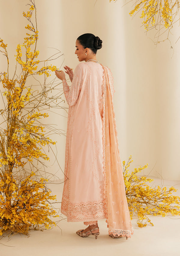 Aik Atelier | Lawn 26 | Look B2604B
