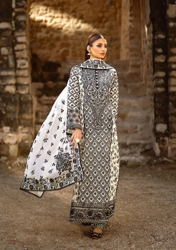 Aik Atelier | Pardes Lawn 24 | LOOK 01 - Rang-e-Khaas