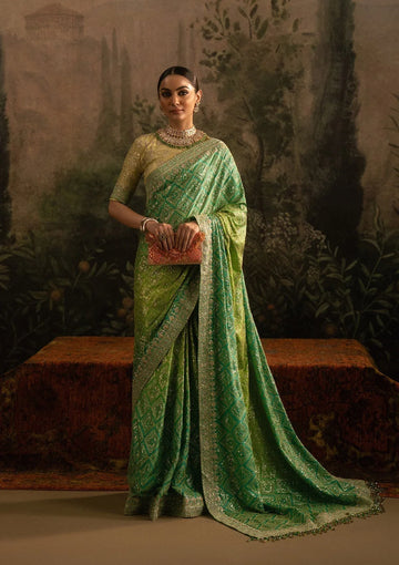 Aik Atelier | Sari Edit 25 | LOOK 07 - Rang-e-Khaas