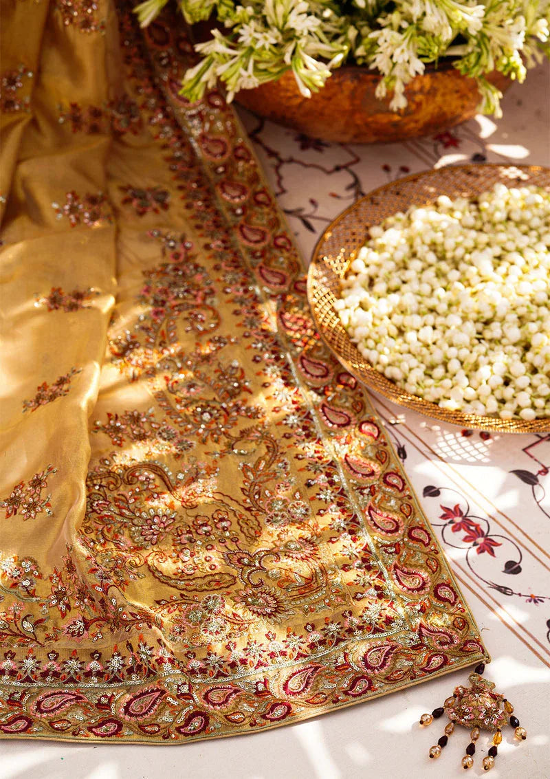 Aik Atelier | Wedding Festive 24 | INDIAN GOLD TISSUE SHAWL - Rang-e-Khaas