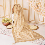 Aik Atelier | LIGHT GOLD TISSUE SHAWL