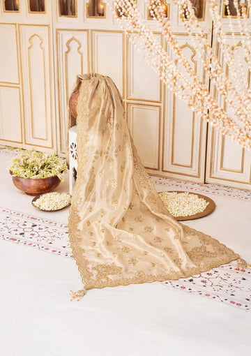 Aik Atelier | LIGHT GOLD TISSUE SHAWL - Rang-e-Khaas
