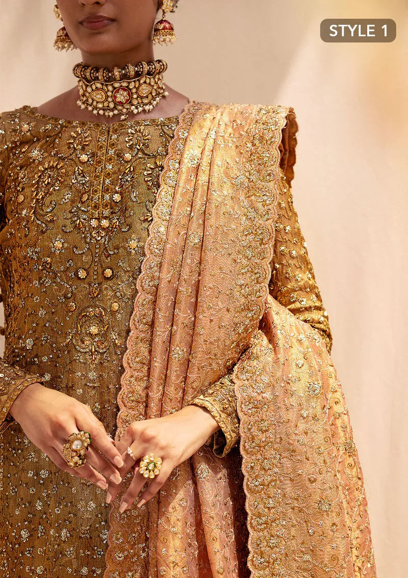 Aik Atelier | Wedding Festive 24 | LOOK 02 - Rang-e-Khaas