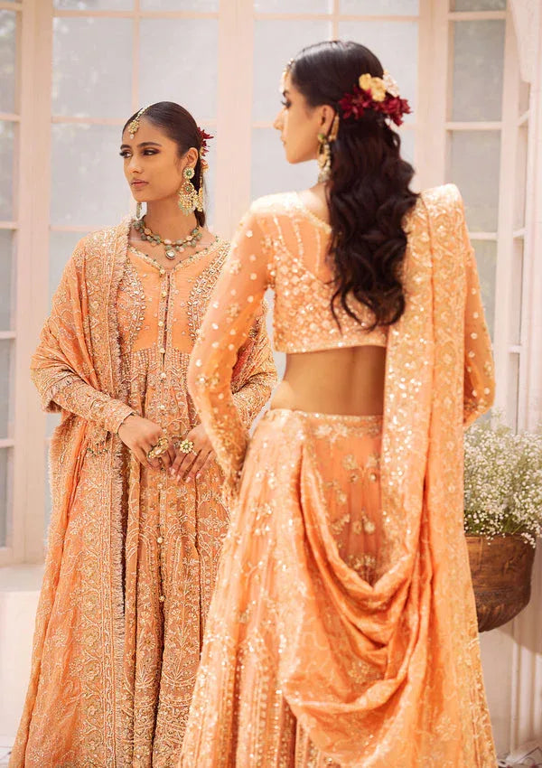 Aik Atelier | Wedding Festive 24 | LOOK 06 - Rang-e-Khaas