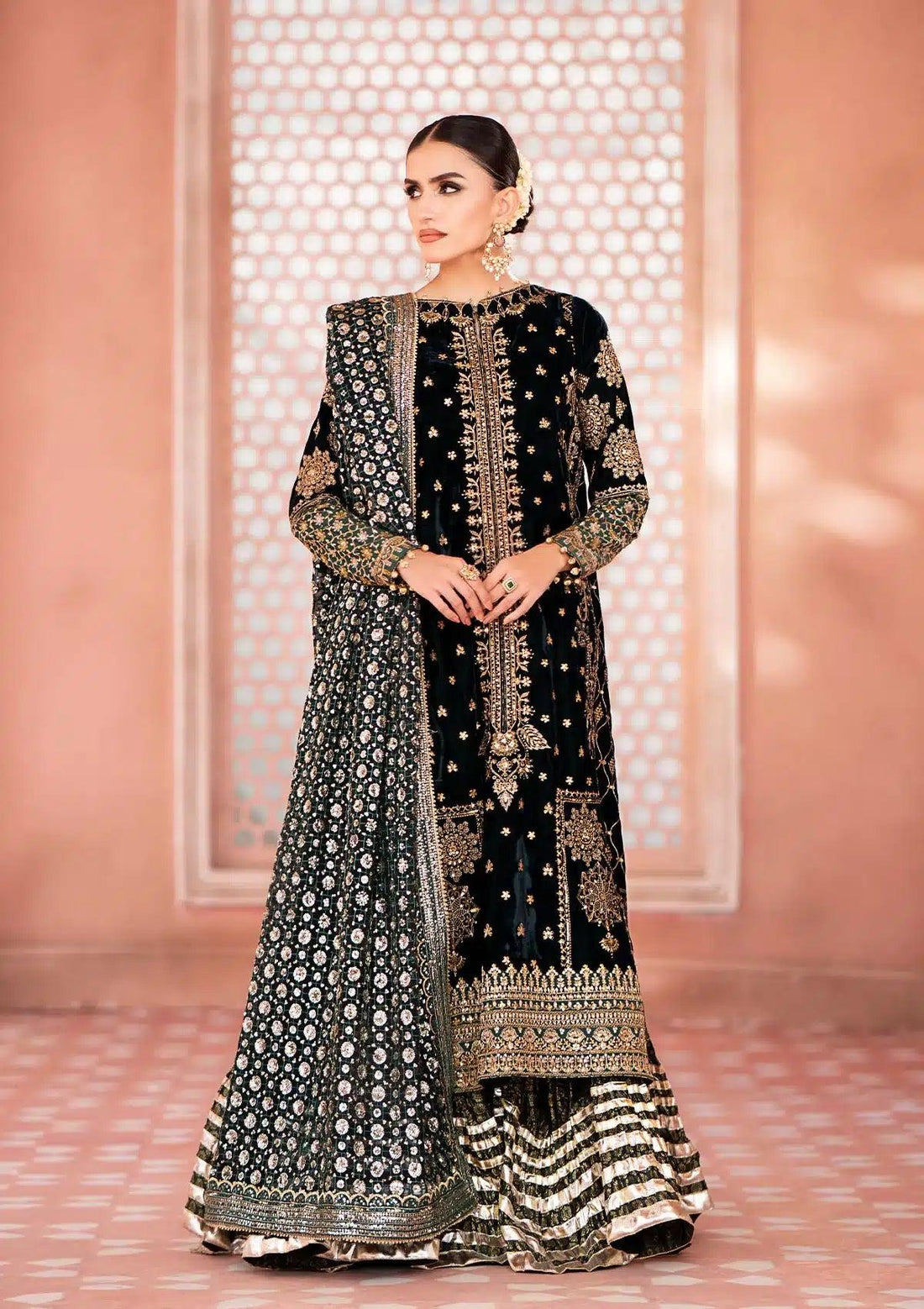 Aik Atelier | Zardozi Velvet 23 | 05 - Rang-e-Khaas