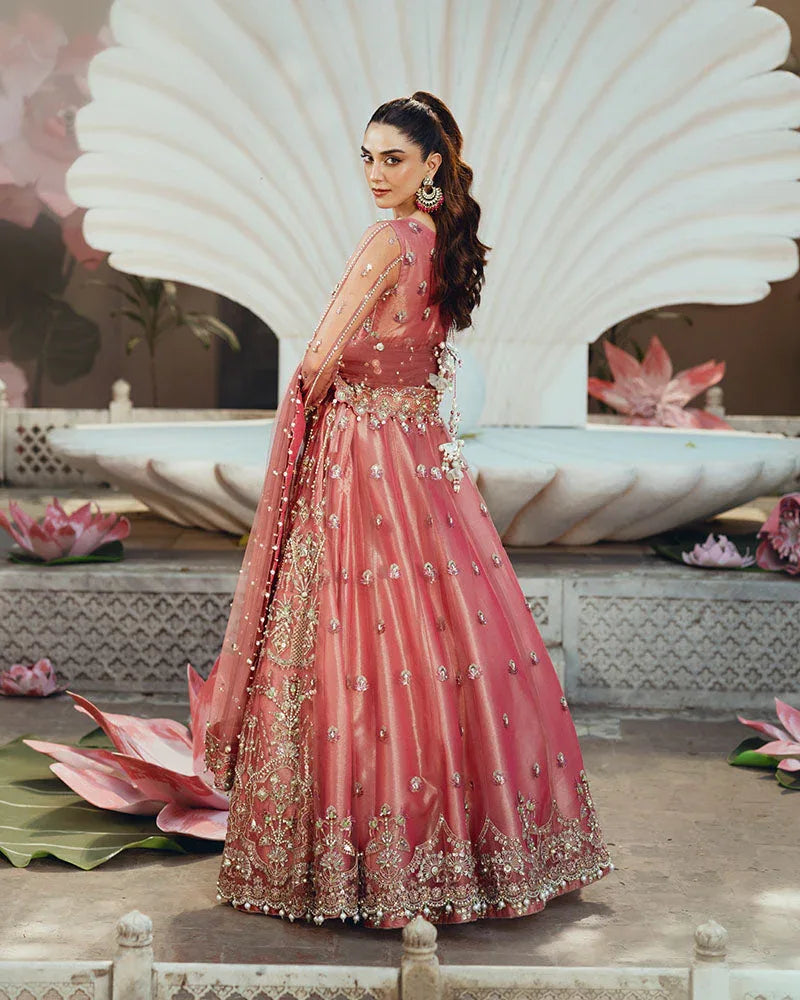Ain | Naulakha Wedding Festive 24 | AR-142 ZORA - Rang-e-Khaas