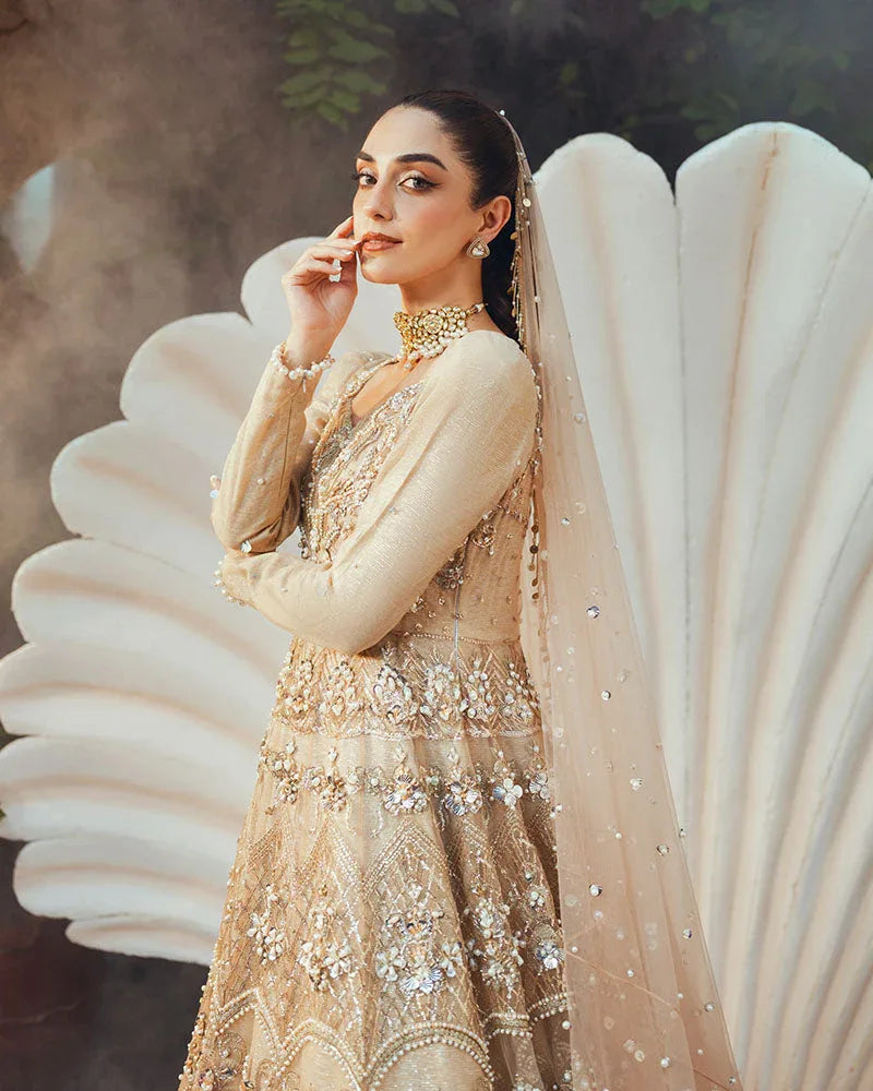 Ain | Naulakha Wedding Festive 24 |  AR-144 SHELL - Rang-e-Khaas