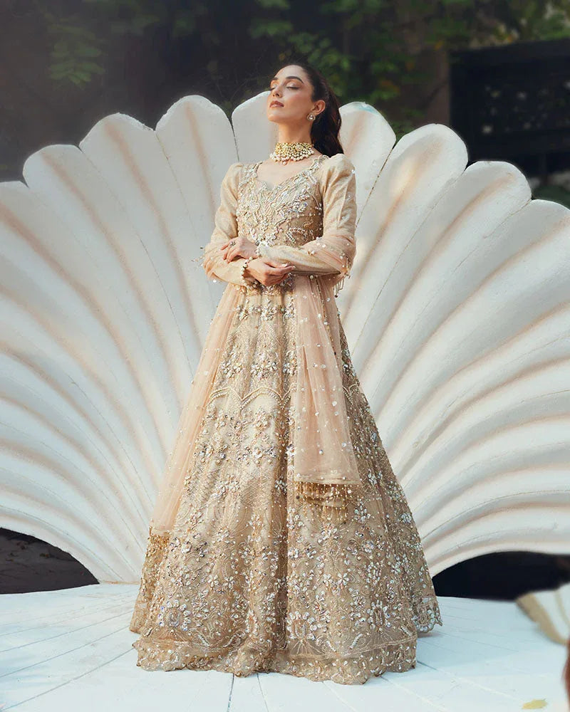Ain | Naulakha Wedding Festive 24 |  AR-144 SHELL - Rang-e-Khaas