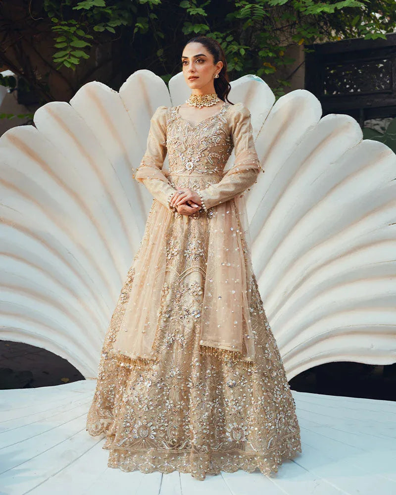 Ain | Naulakha Wedding Festive 24 |  AR-144 SHELL - Rang-e-Khaas