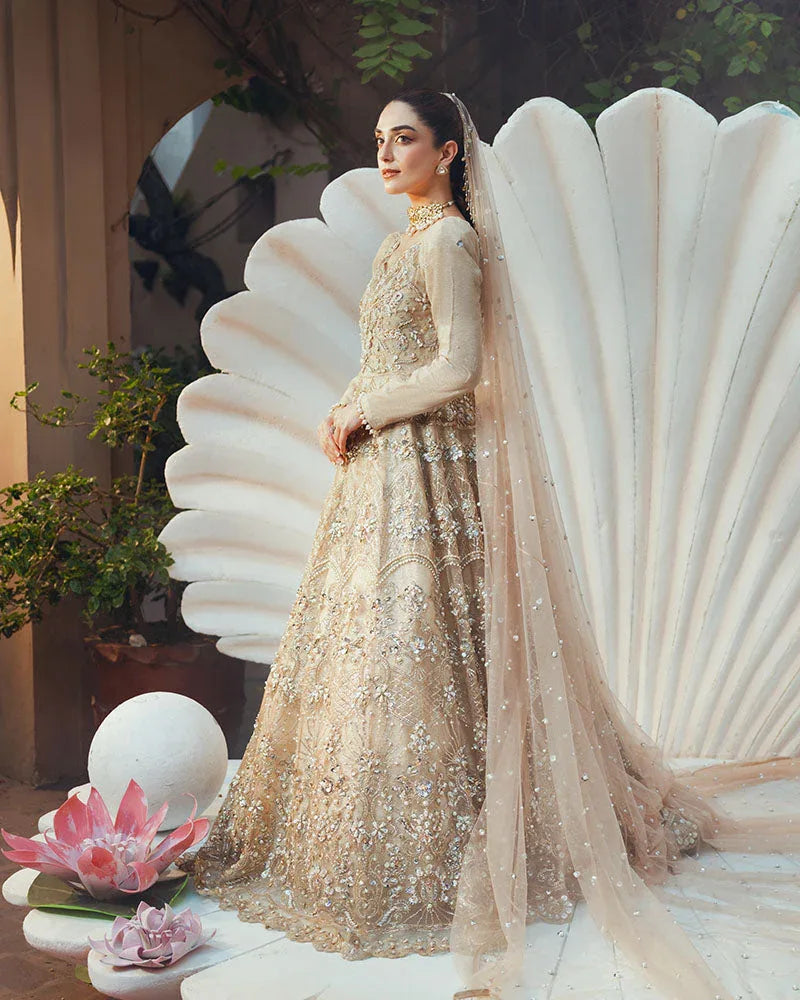 Ain | Naulakha Wedding Festive 24 |  AR-144 SHELL - Rang-e-Khaas