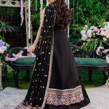 Izel | Heeriye Festive Collection |Surmaya