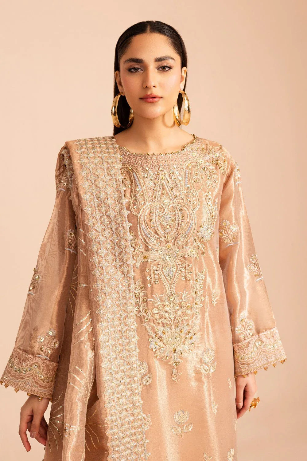 Maryum N Maria | Zircon Formals | ARIANA - MS40079 - Rang-e-Khaas