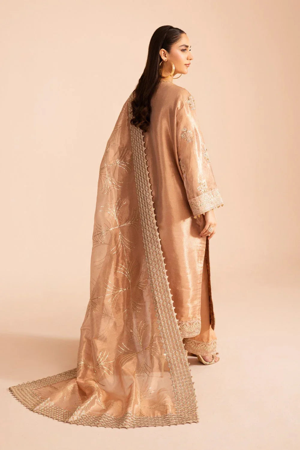 Maryum N Maria | Zircon Formals | ARIANA - MS40079 - Rang-e-Khaas