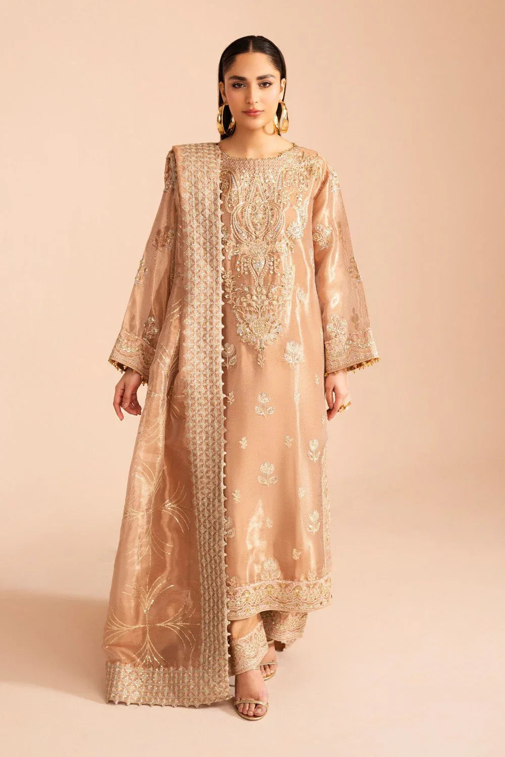 Maryum N Maria | Zircon Formals | ARIANA - MS40079 - Rang-e-Khaas